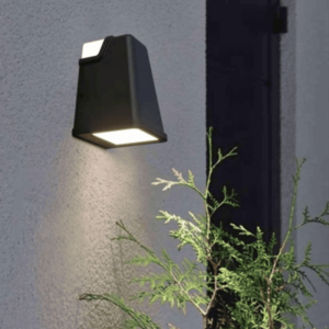 Outdoor Wall Light